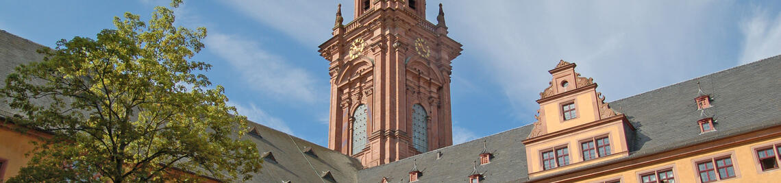 Alte Universität mit Neubaukirche. Foto Robert Emmerich
August 2008